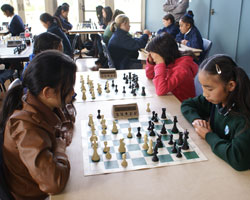 Crystal Zhu & Bella Qian