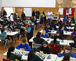 Auckland Girls Championship
