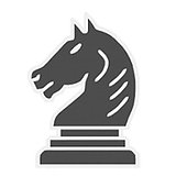 Noosa Chess Club logo