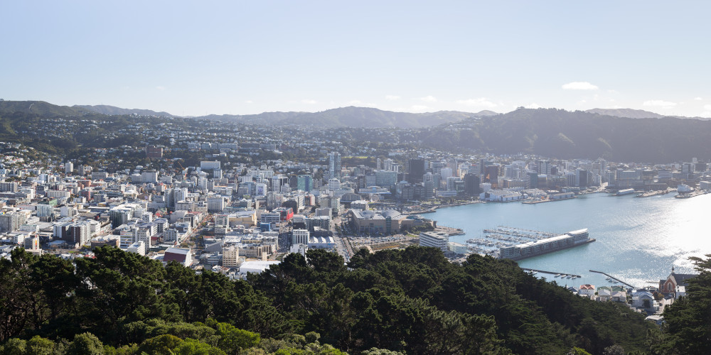 Wellington panorama of city and harbour